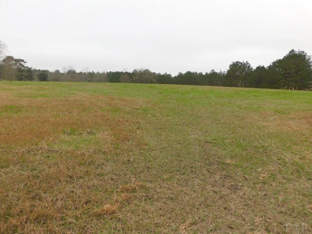 68000-a Scranage Road Atmore, AL 36502 - Photo 31 of 36