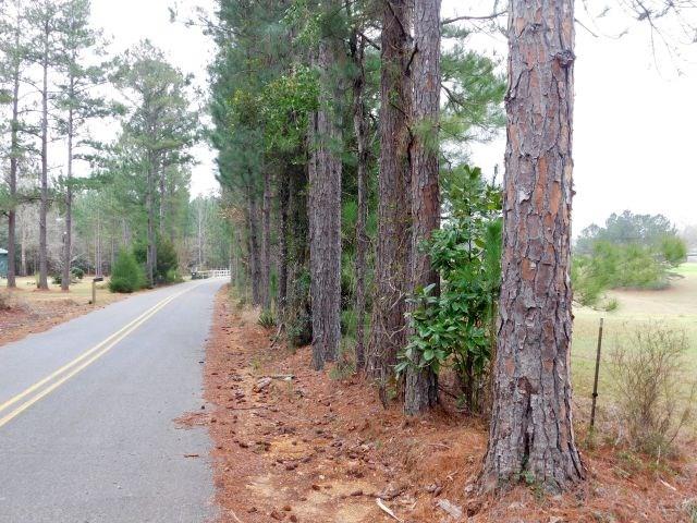 68000-a Scranage Road Atmore, AL 36502 - Photo 33 of 36