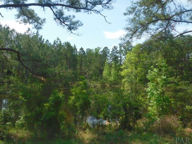 68000-a Scranage Road Atmore, AL 36502 - Photo 34 of 36