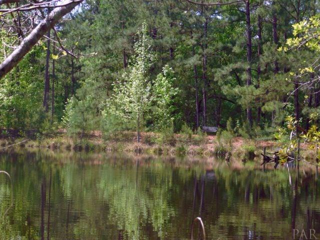 68000-a Scranage Road Atmore, AL 36502 - Photo 4 of 36
