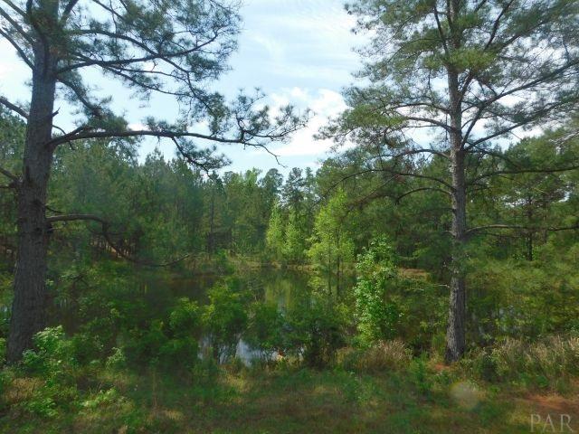 68000-a Scranage Road Atmore, AL 36502 - Photo 5 of 36