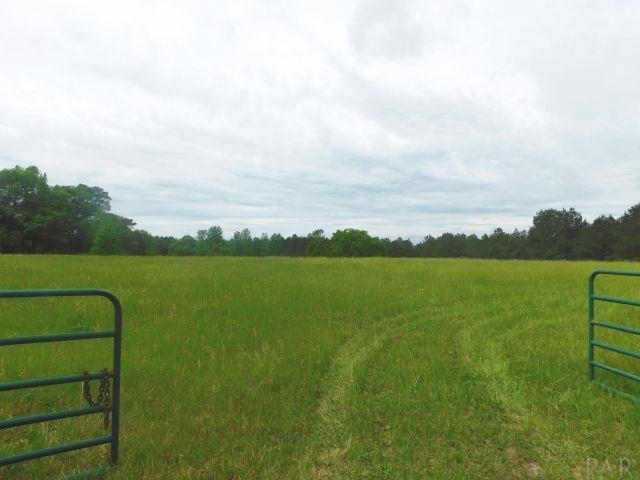 68000-a Scranage Road Atmore, AL 36502 - Photo 7 of 36