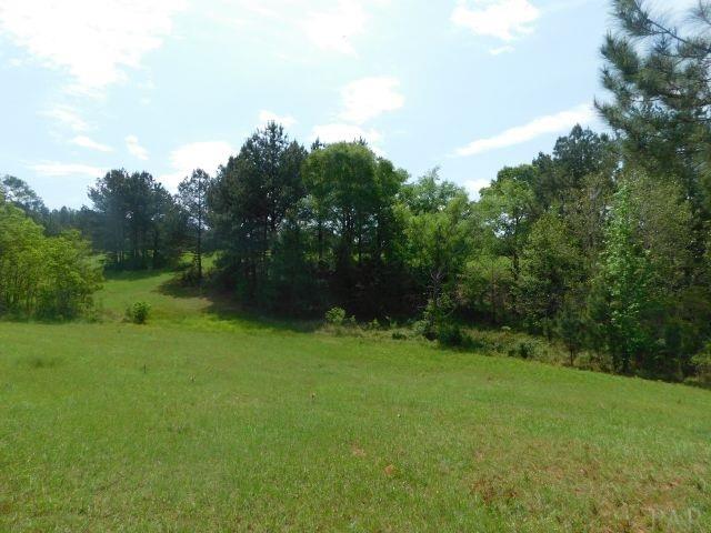 68000-a Scranage Road Atmore, AL 36502 - Photo 9 of 36