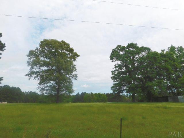 68000-a Scranage Road Atmore, AL 36502 - Photo 10 of 36