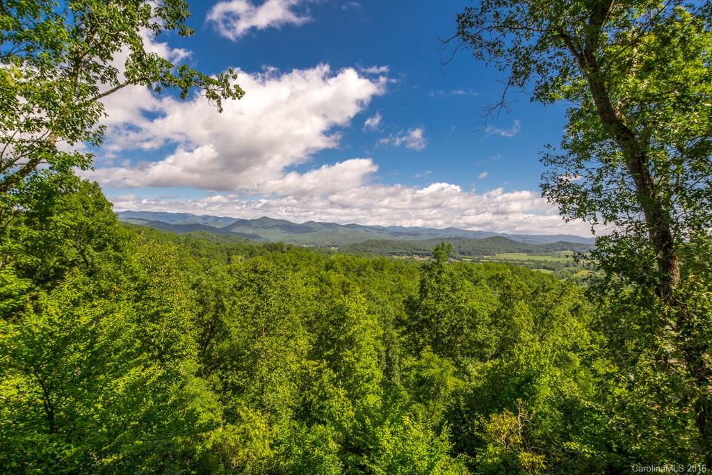 89 Wild Iris Road Brevard, NC 28712 - Photo 2 of 24