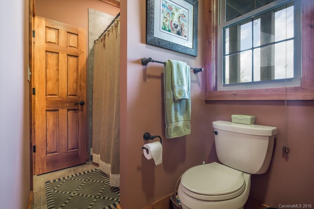 89 Wild Iris Road Brevard, NC 28712 - Photo 17 of 24