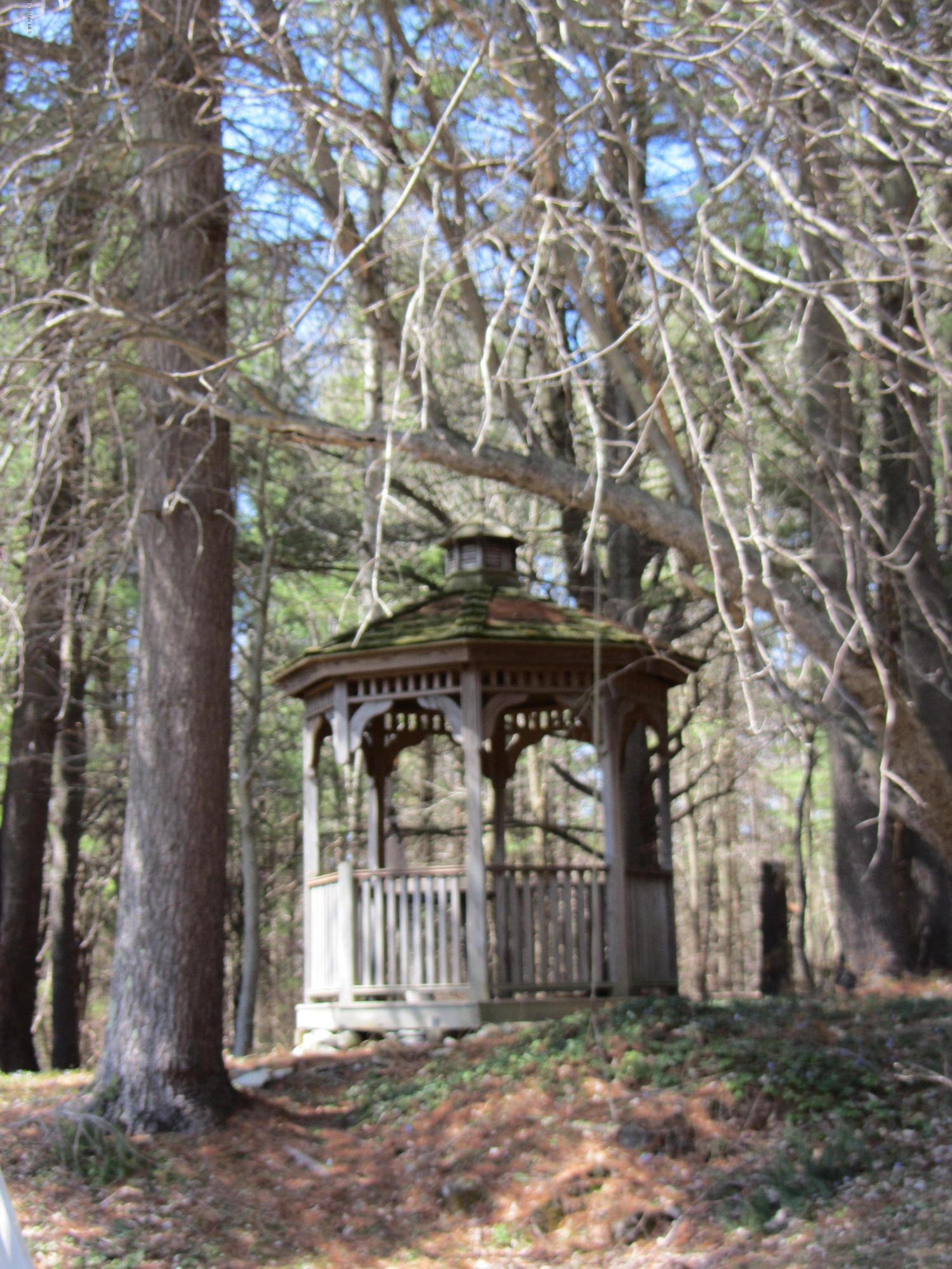 2131 Dublin Road Richmond, MA 01254 - Photo 26 of 51 a front view of a house with a tree