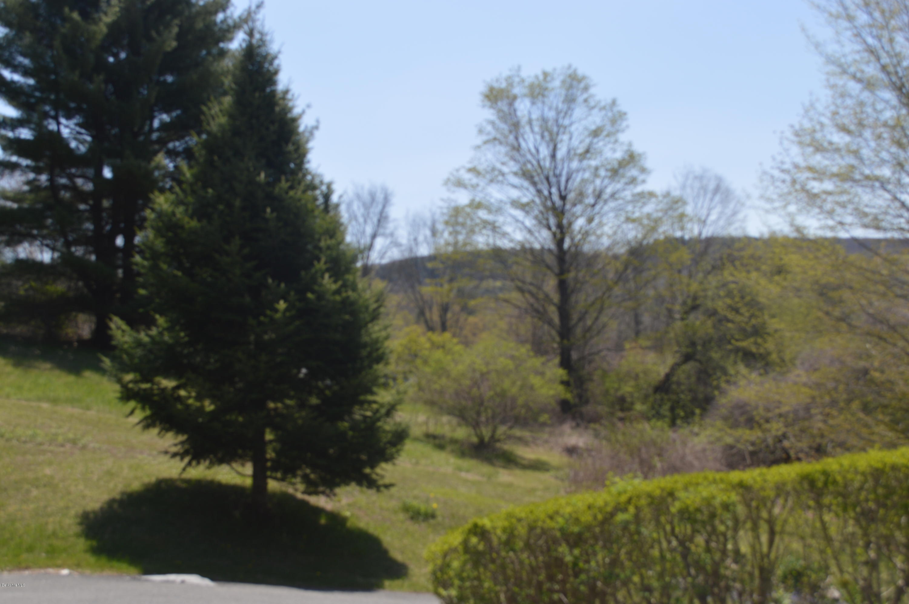 2131 Dublin Road Richmond, MA 01254 - Photo 37 of 51 a view of a yard