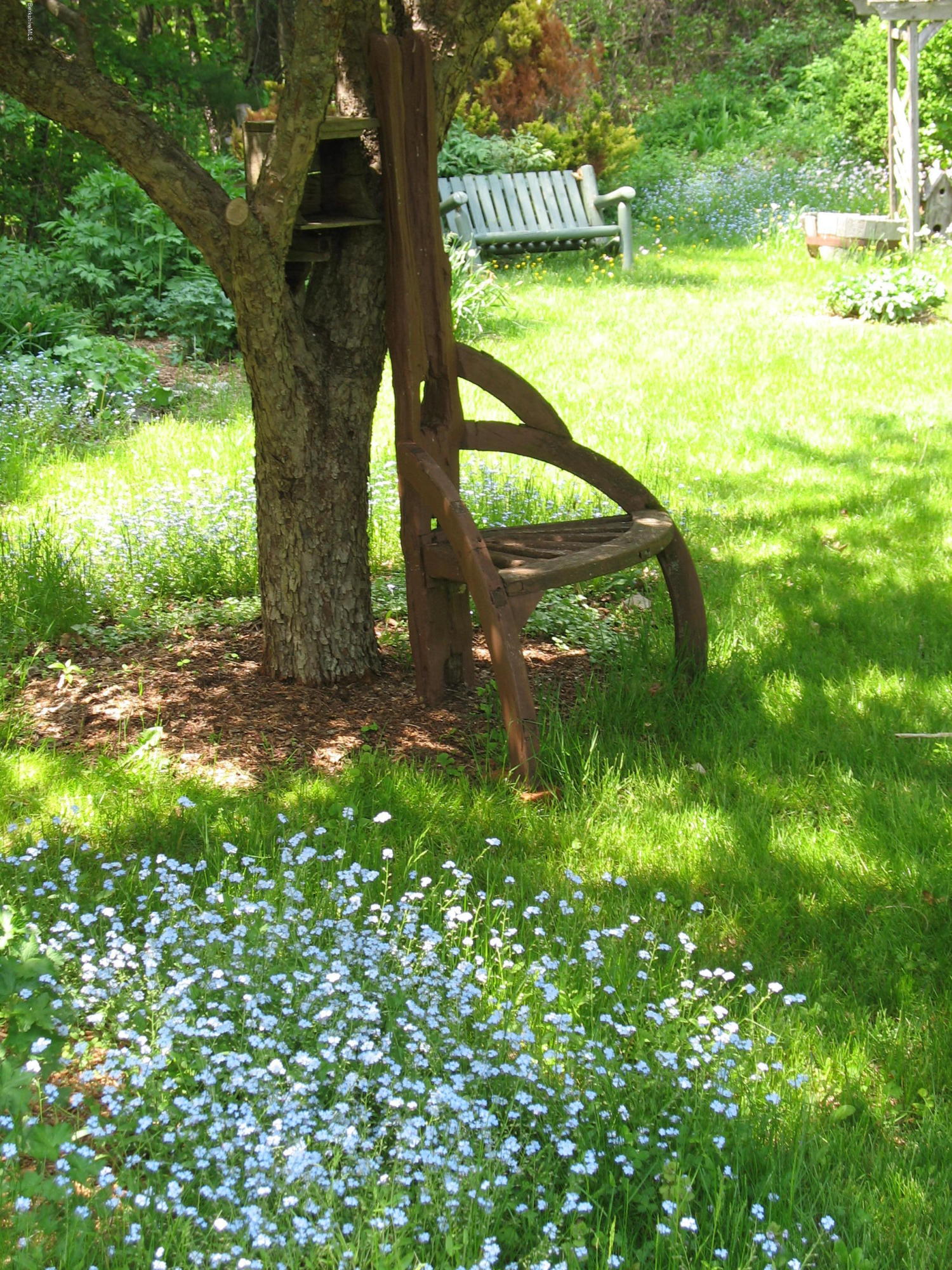 2131 Dublin Road Richmond, MA 01254 - Photo 44 of 51 a view of a yard with a tree