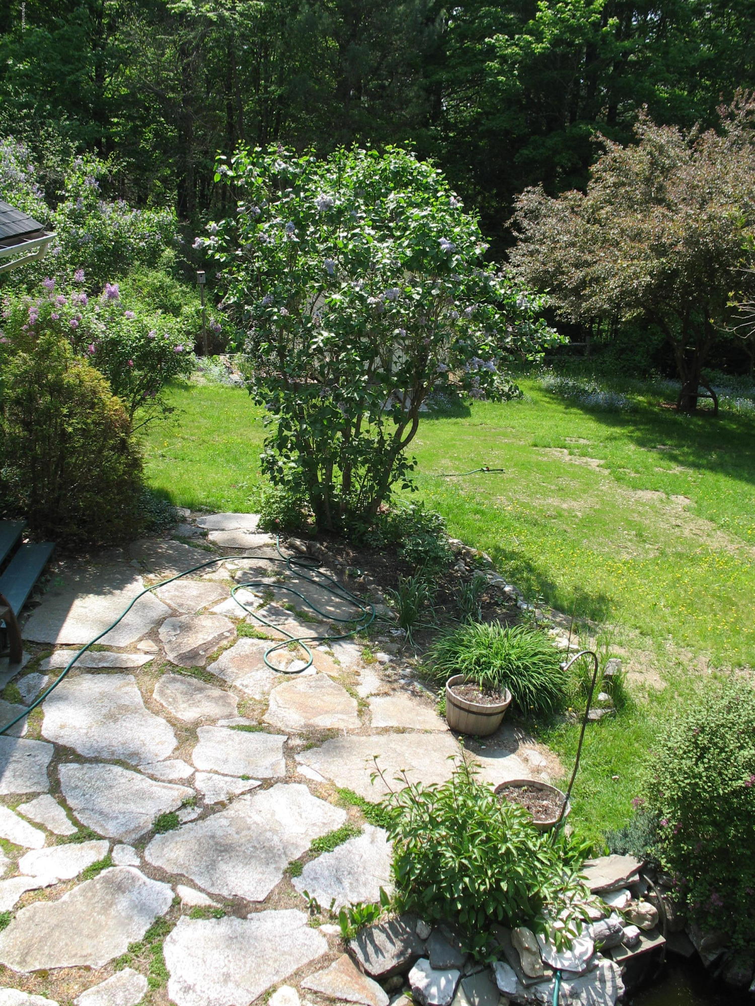 2131 Dublin Road Richmond, MA 01254 - Photo 48 of 51 a view of a garden with plants