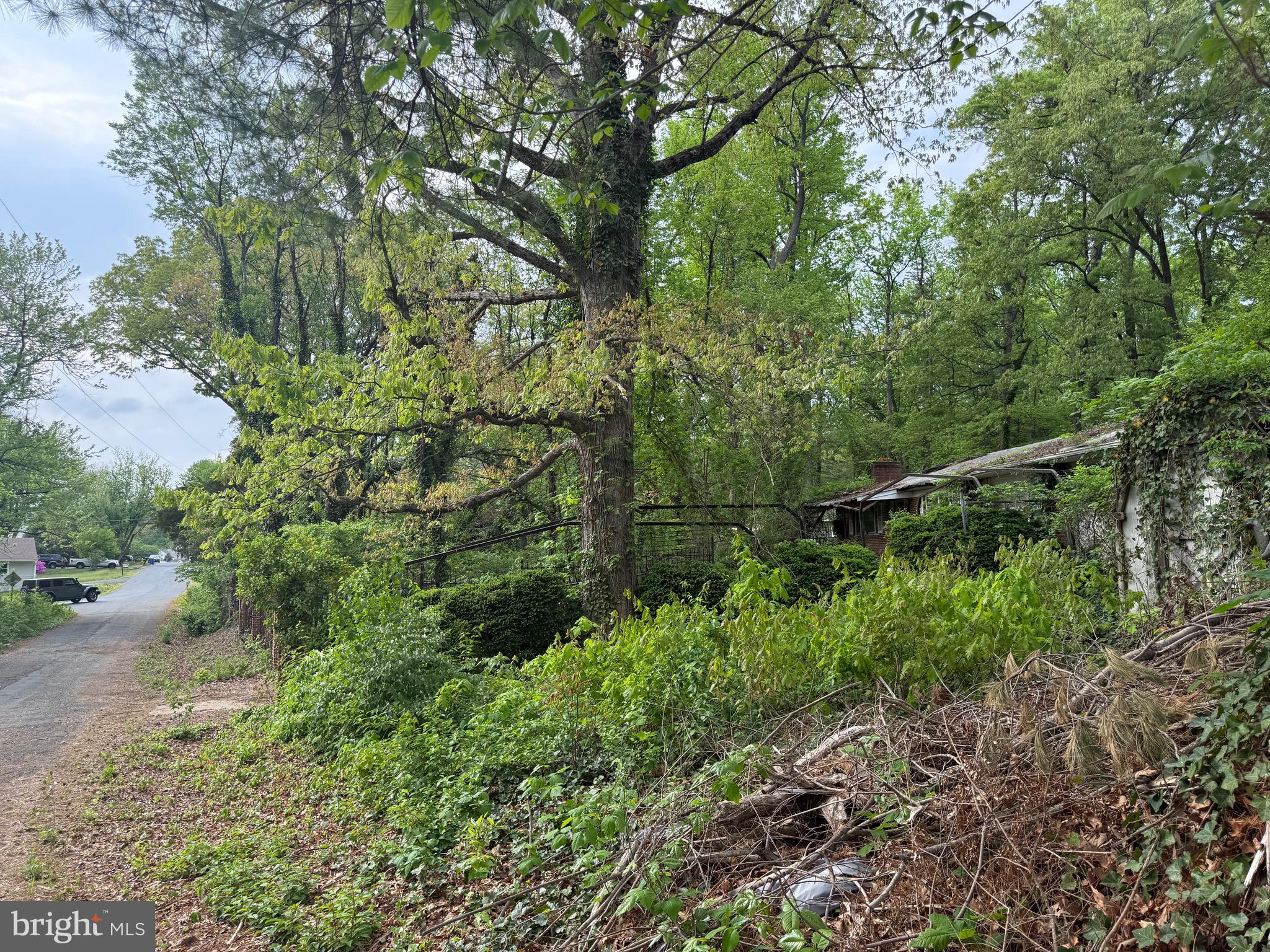 4204 Meyers Road Triangle, VA 22172 - Photo 4 of 6 a view of a yard with large trees