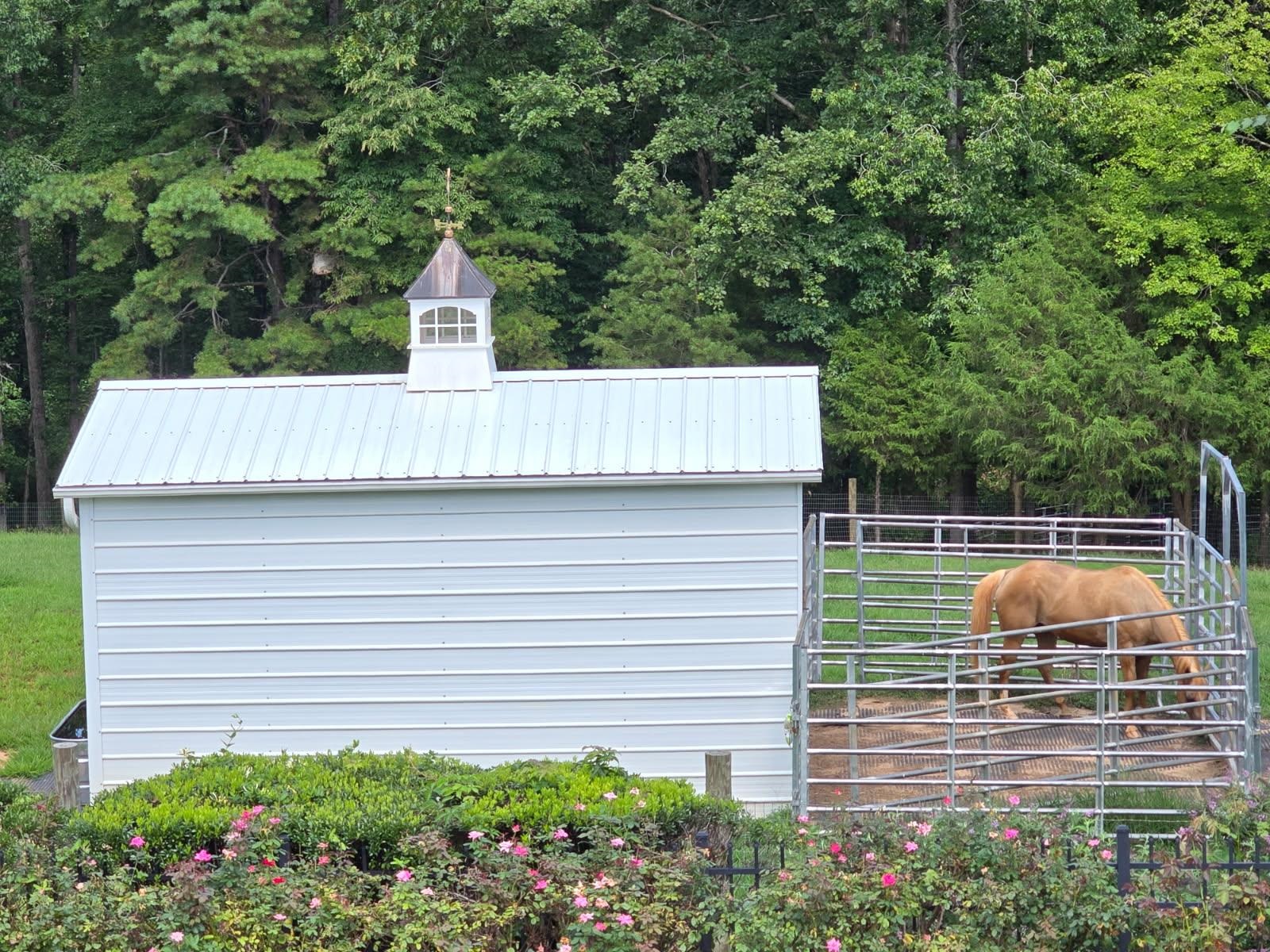 340 State Rd S-42-2215 Roebuck, SC 29376 - Photo 44 of 50