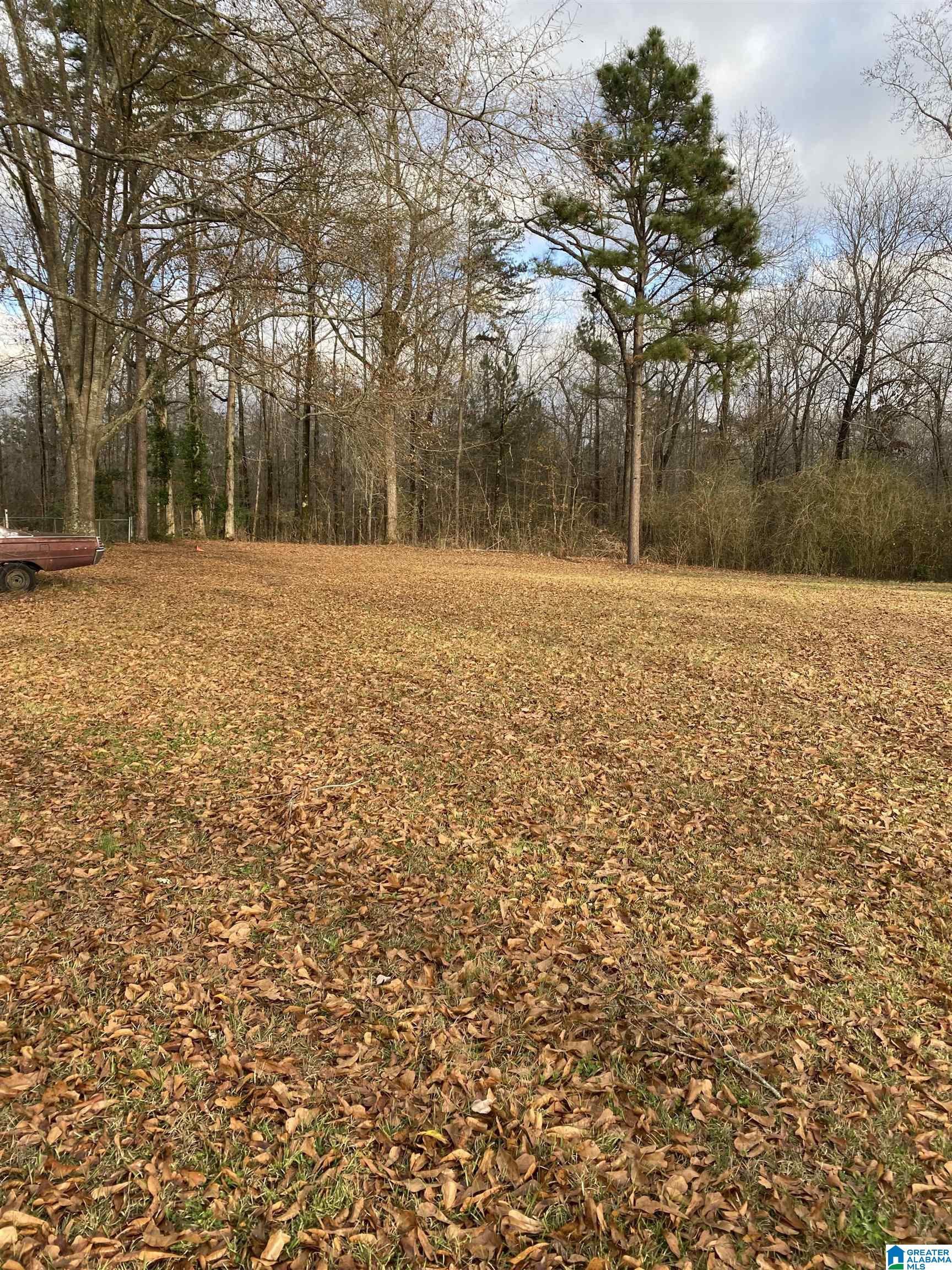 5519 New Found Road Mount Olive, AL 35117 - Photo 2 of 8