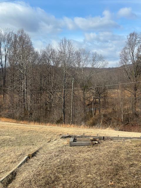 4235-4237 Jordantown Road Vinton, VA 24179 - Photo 3 of 20 a view of yard covered with snow