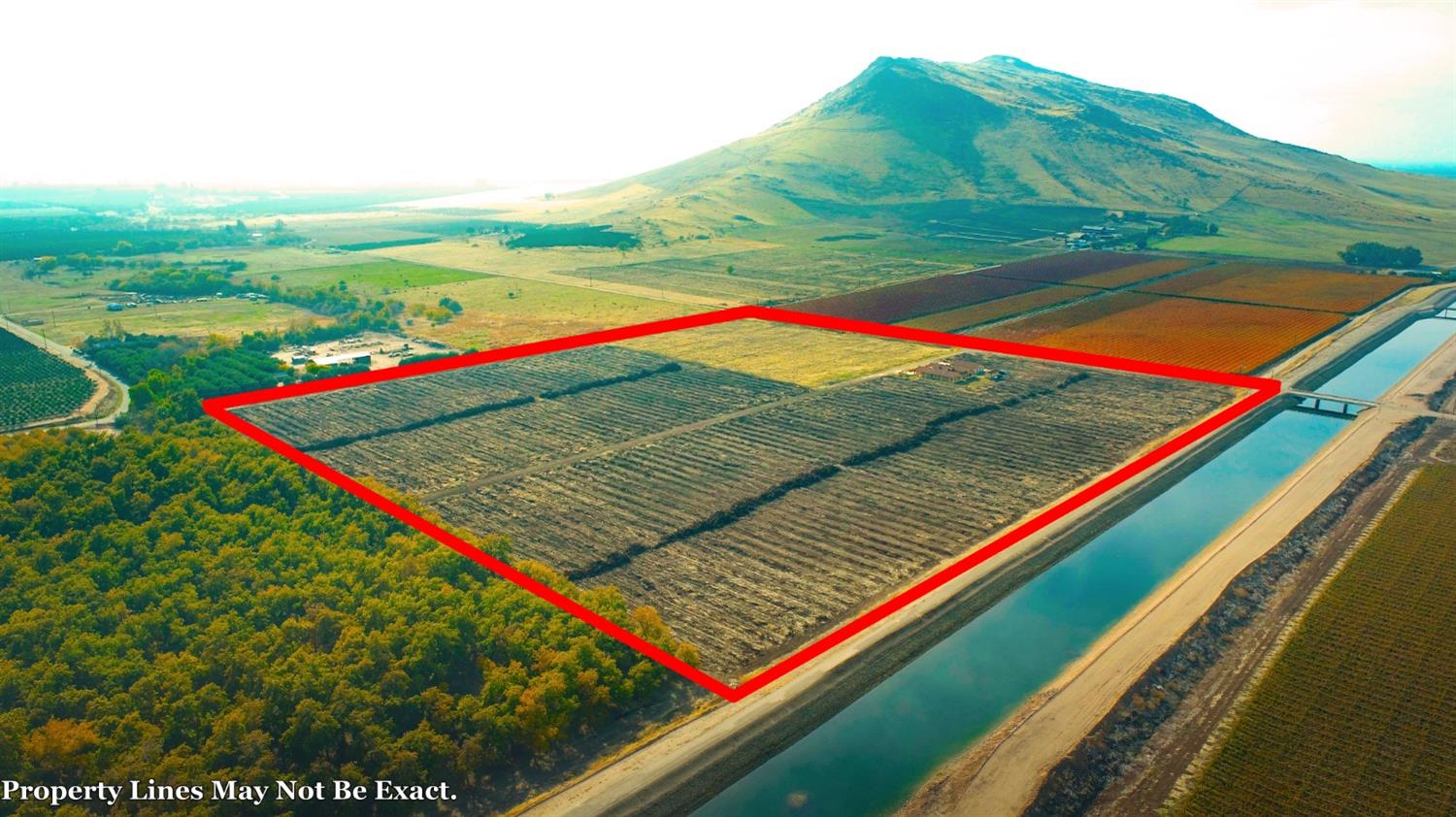 1662 South Alta Avenue Reedley, CA 93654 - Photo 4 of 30 a view of a tennis ground with a large trees