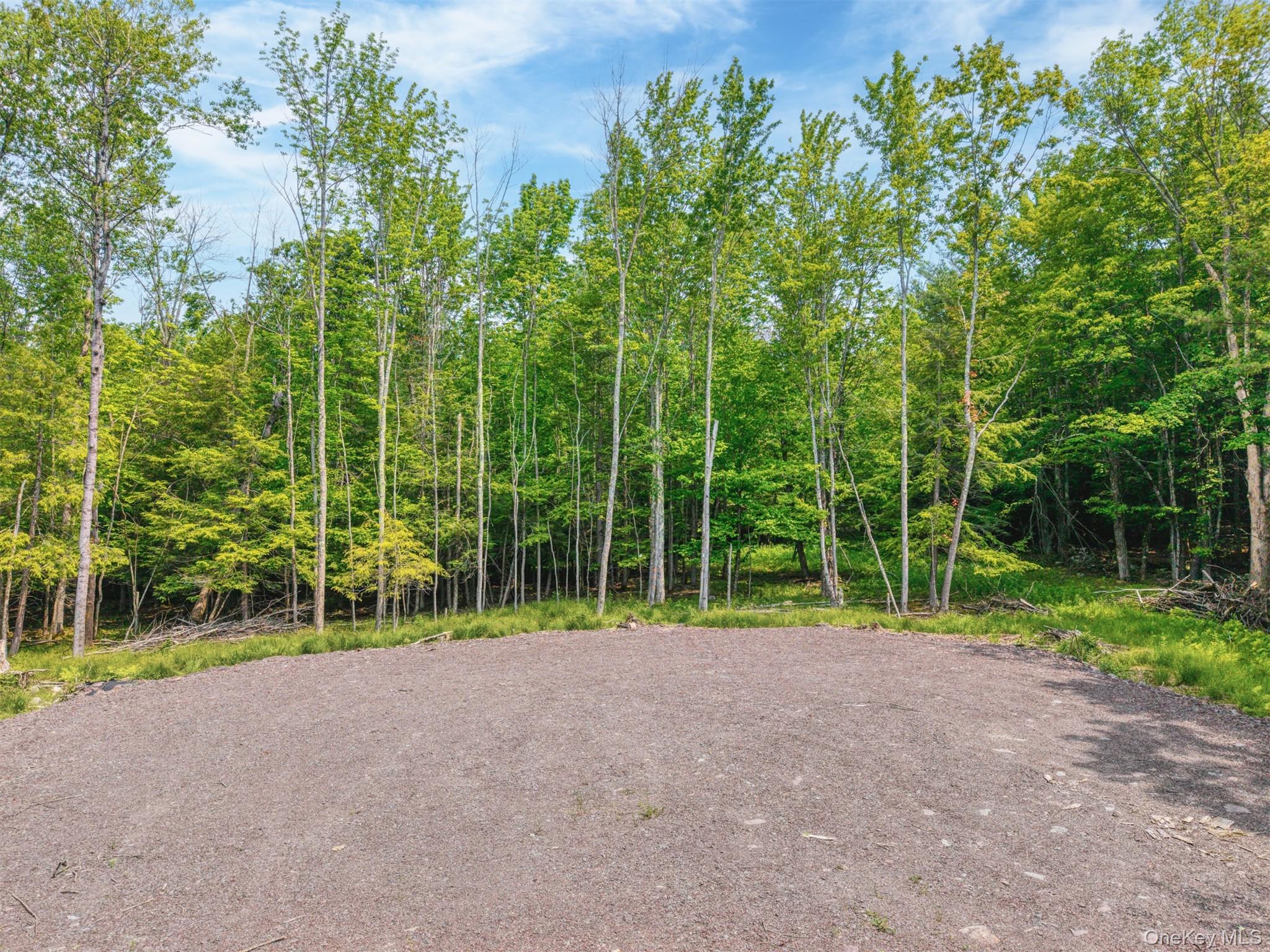 Tbd Boulder Brook Road Windham, NY 12496 - Photo 35 of 46 Gallery Image 35