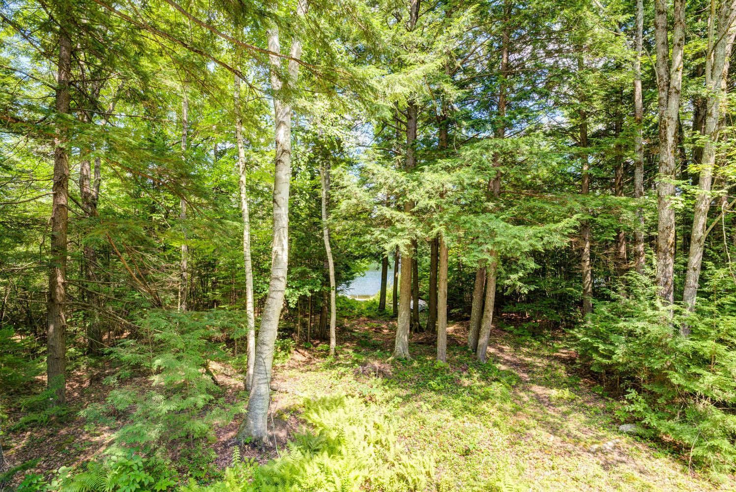 69 West Shore Road Otisfield, ME 04270 - Photo 21 of 39 69 W Shore Rd Otisfield ME-large-021-024