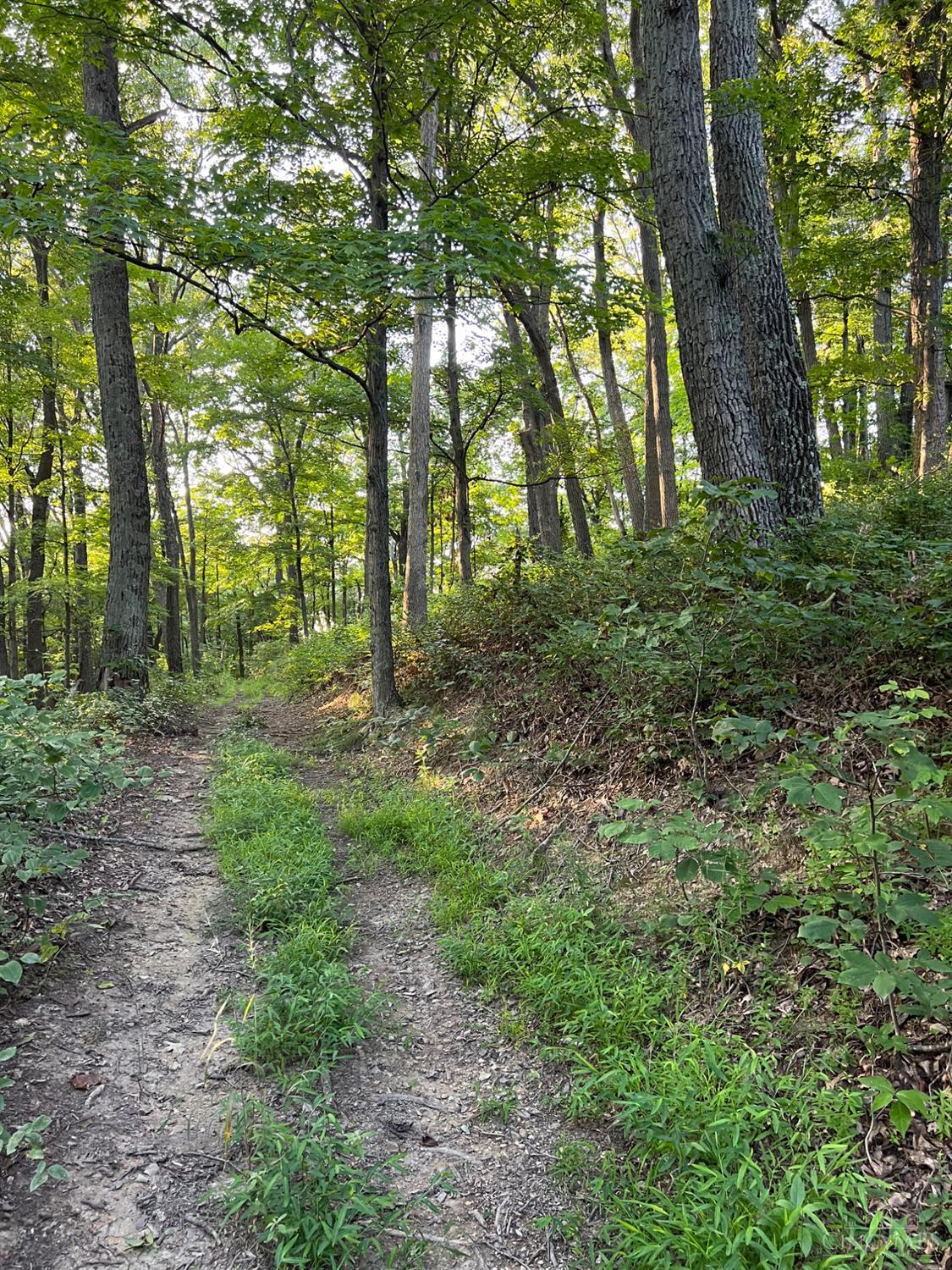 0 Tabernacle Road Chillicothe, OH 45601 - Photo 53 of 64