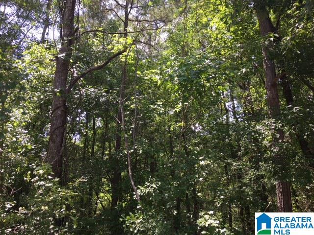 Sipsey Valley Road, Unit 15 Buhl, AL 35446 - Photo 2 of 8
