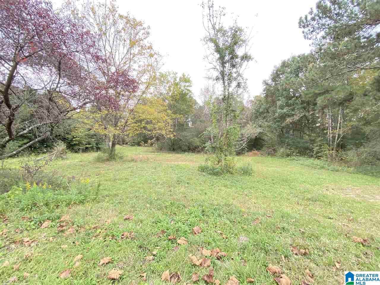 110 Patrick Street, Unit 25 Odenville, AL 35120 - Photo 1 of 4
