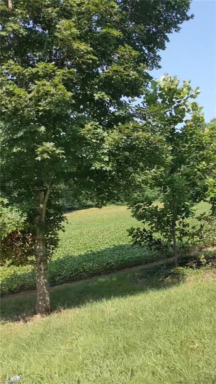 Lot 7 Conrad Road Lewisville, NC 27023 - Photo 3 of 17 Gallery Image 3