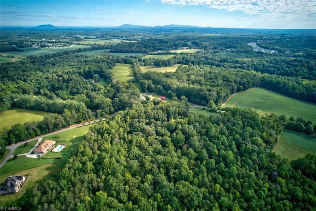 Lot 7 Conrad Road Lewisville, NC 27023 - Photo 10 of 17 Gallery Image 10