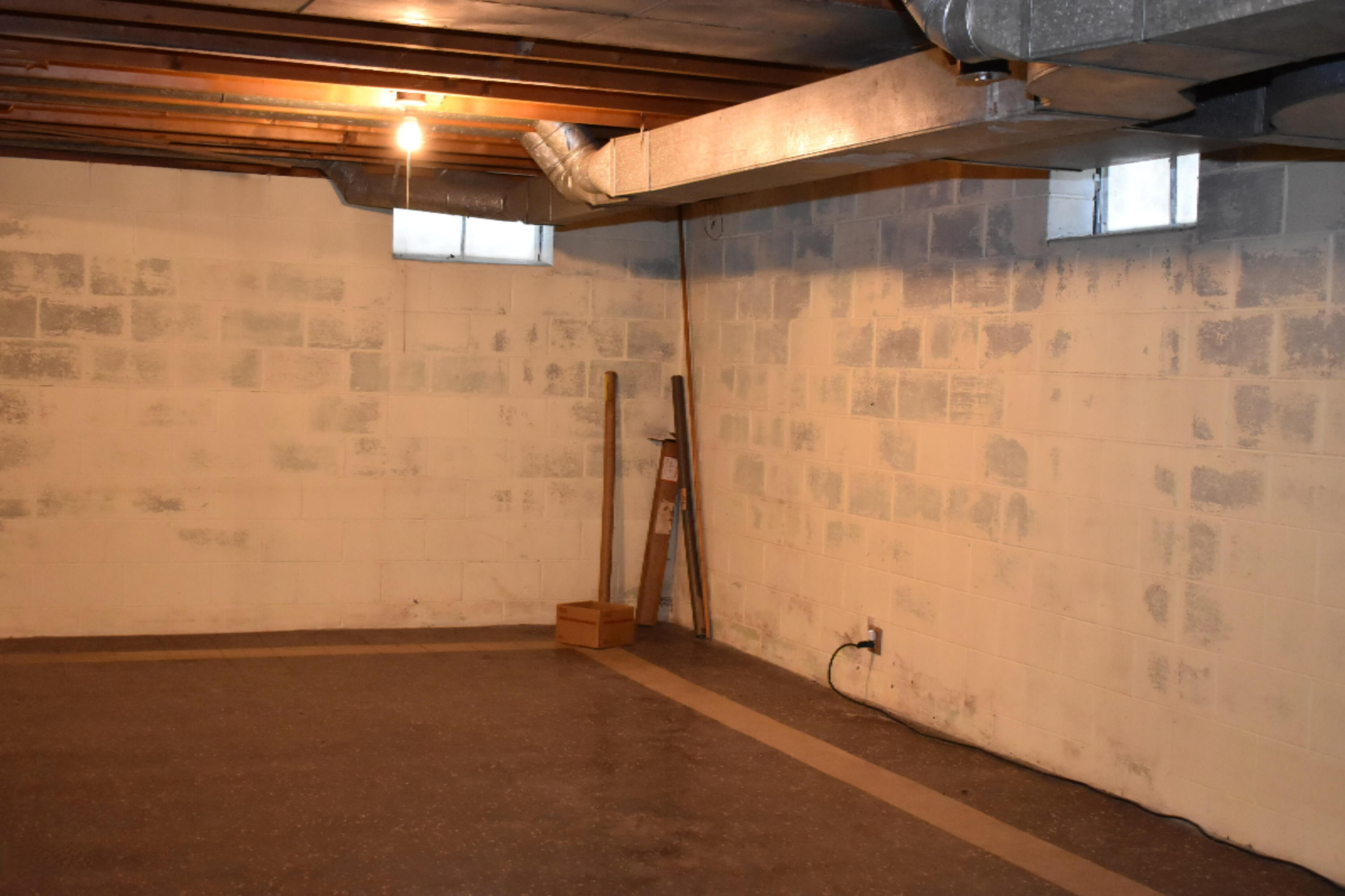 43231 Parkhurst Drive Decatur, MI 49045 - Photo 48 of 55 Basement