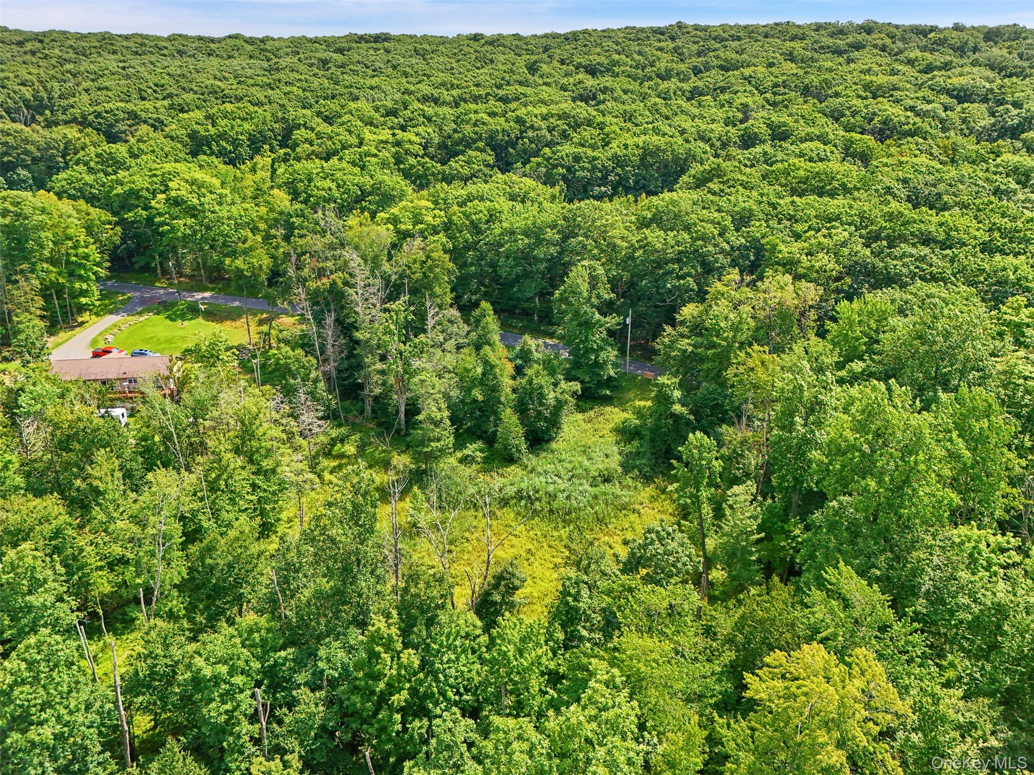 Oak Ridge Road Ellenville, NY 12428 - Photo 4 of 23 Gallery Image 4