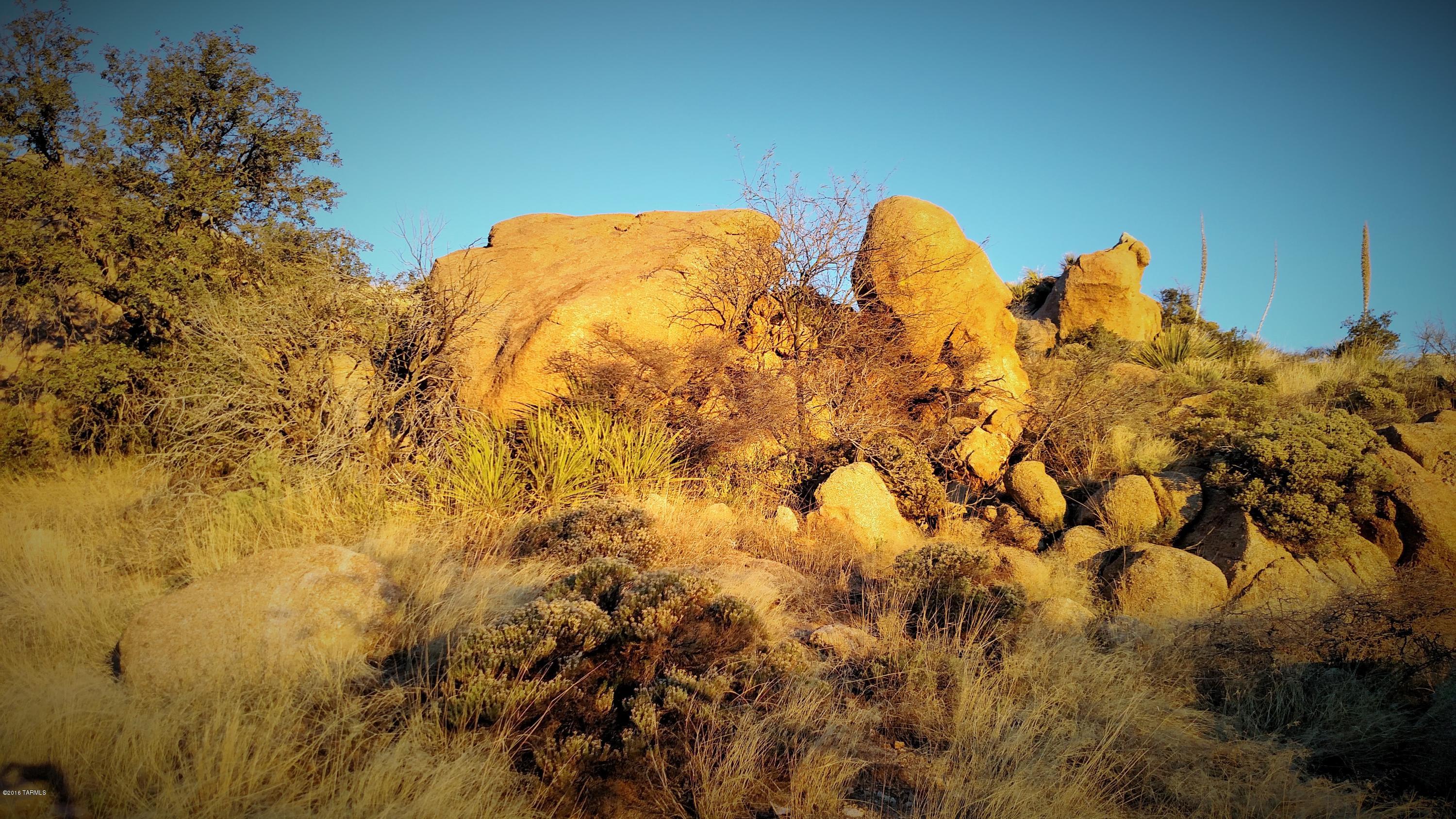 Lot 6 South Hobe Road, Unit 6 Oracle, AZ 85623 - Photo 7 of 17