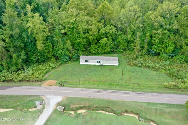 a view of a tree with a yard
