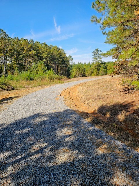 0 Prospect Road Northeast Cohutta, GA 30710 - Photo 4 of 12 Gallery Image 4