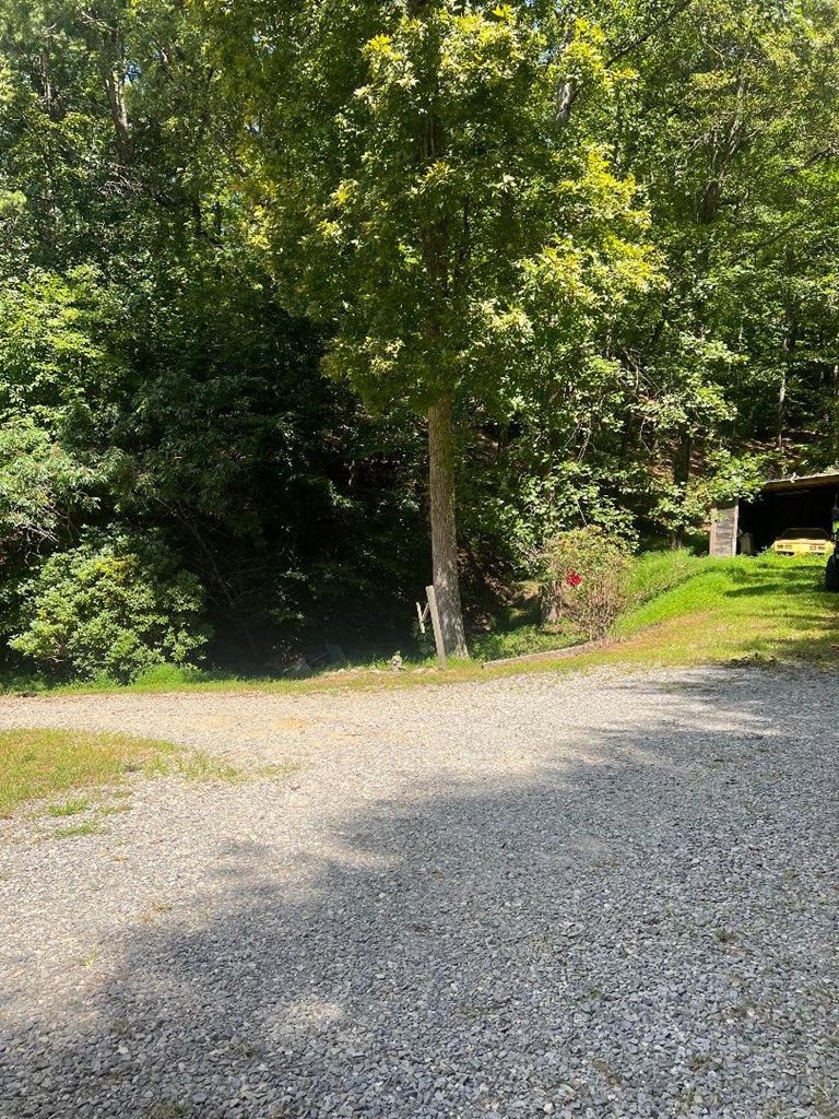 357 Wise Road Morganton, GA 30560 - Photo 11 of 13 a view of an outdoor space and a yard