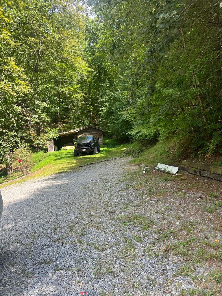 357 Wise Road Morganton, GA 30560 - Photo 13 of 13 a view of yard with swimming pool and green space