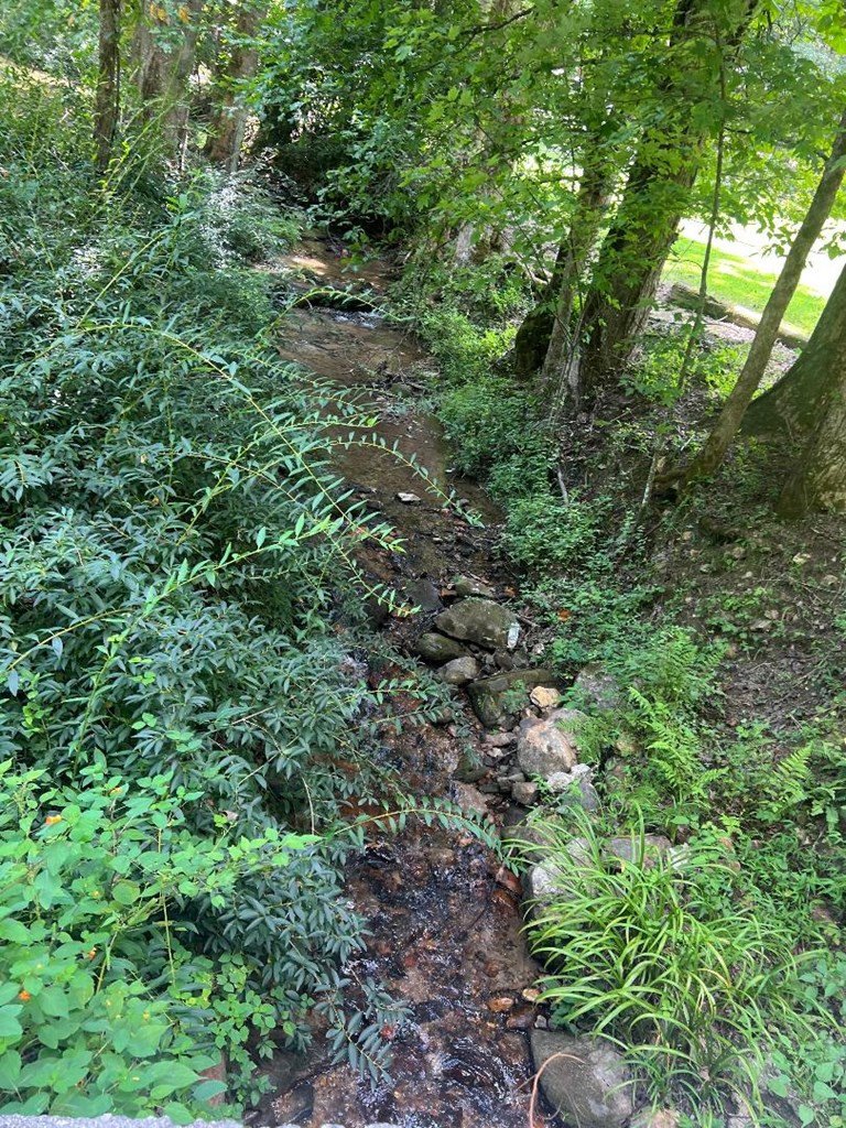 357 Wise Road Morganton, GA 30560 - Photo 6 of 13 a view of a lush green forest