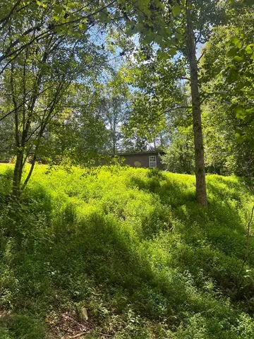 a view of yard with green space