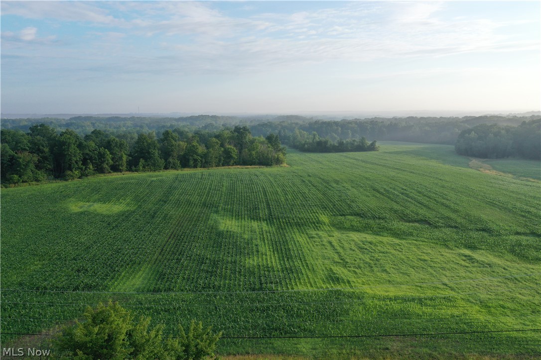 5201 Emerson Road Madison, OH 44057 - Photo 4 of 50