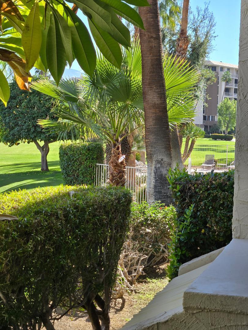910 Island Drive, Unit 113 Rancho Mirage, CA 92270 - Photo 6 of 40 thumbnail
