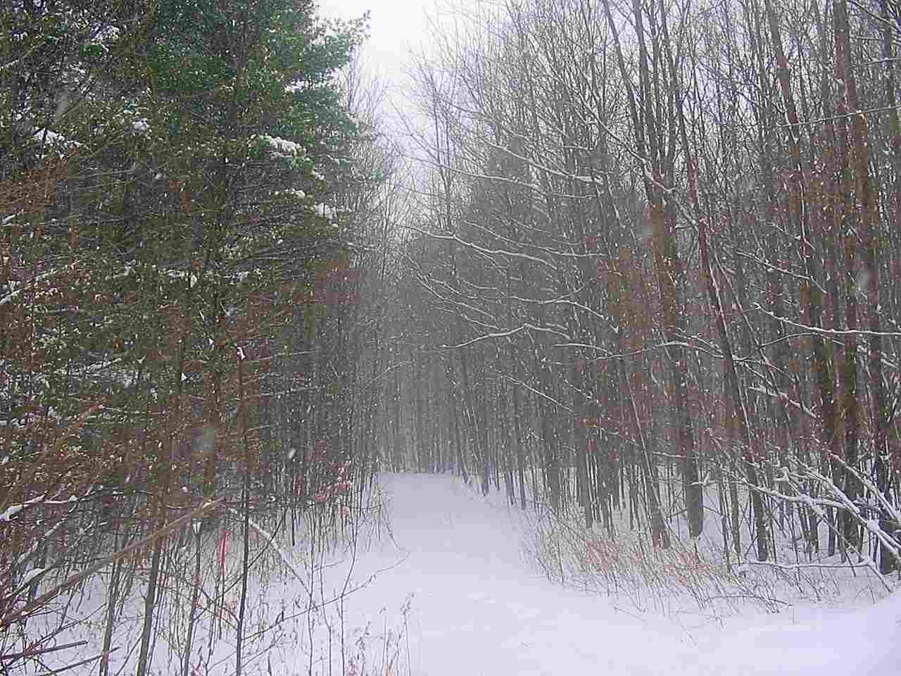 0 Beebe Hill Road Milton, VT 05468 - Photo 14 of 14