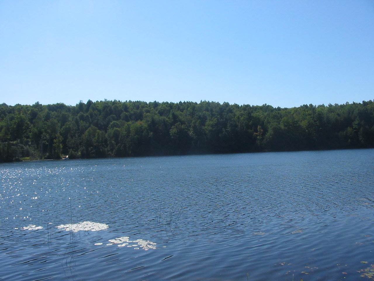 0 Beebe Hill Road Milton, VT 05468 - Photo 3 of 14