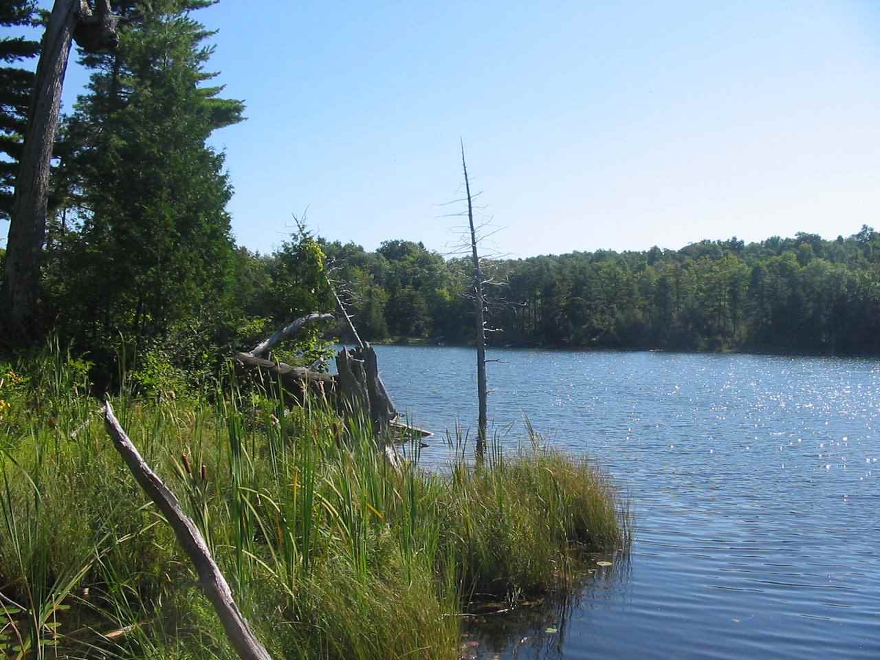 0 Beebe Hill Road Milton, VT 05468 - Photo 5 of 14