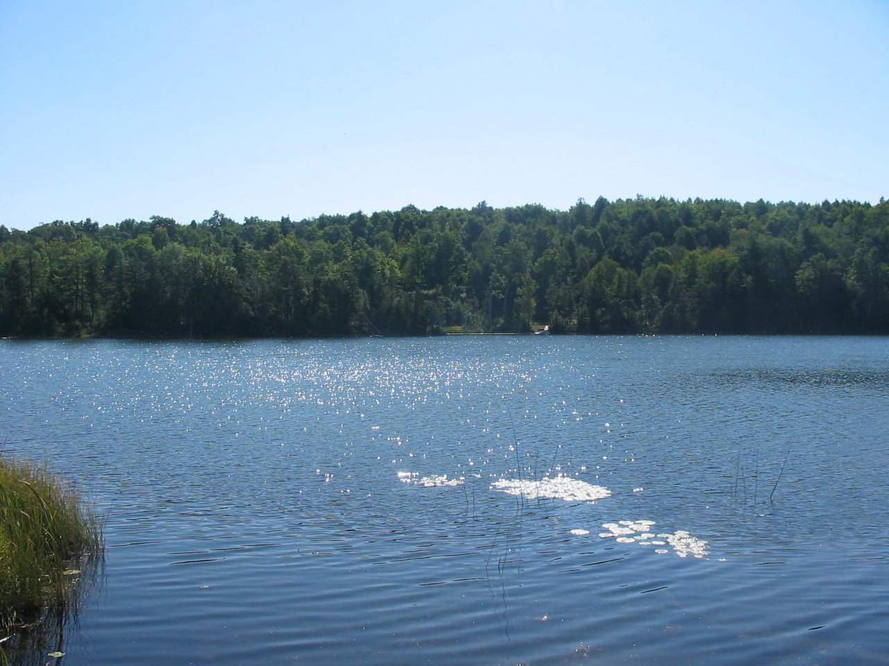 0 Beebe Hill Road Milton, VT 05468 - Photo 8 of 14