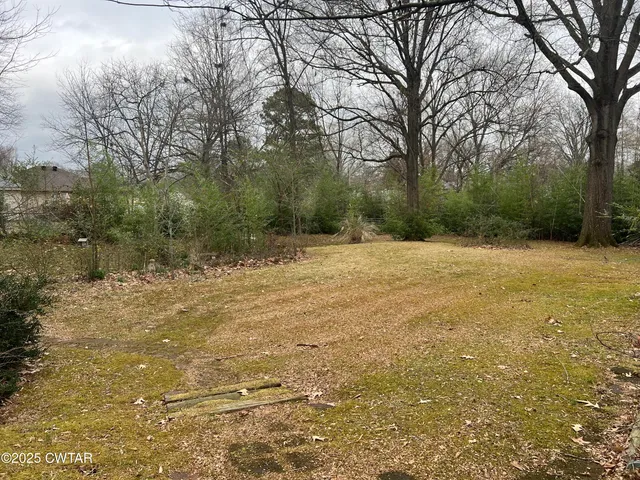 a big yard with lots of green space and plants