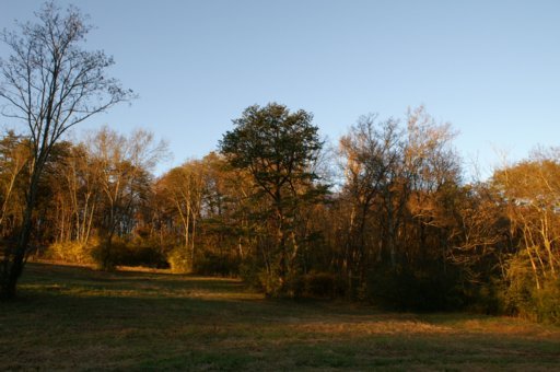 2940 Quarry Hollow Road Friendsville, TN 37737 - Photo 1 of 39 Primary Photo