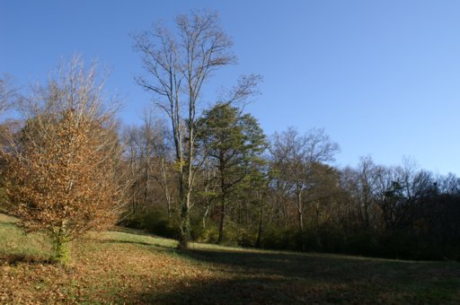 2940 Quarry Hollow Road Friendsville, TN 37737 - Photo 11 of 39 Additional Photo