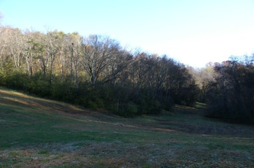 2940 Quarry Hollow Road Friendsville, TN 37737 - Photo 13 of 39 Additional Photo