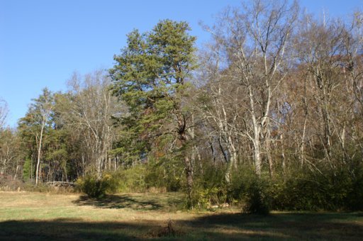 2940 Quarry Hollow Road Friendsville, TN 37737 - Photo 14 of 39 Additional Photo