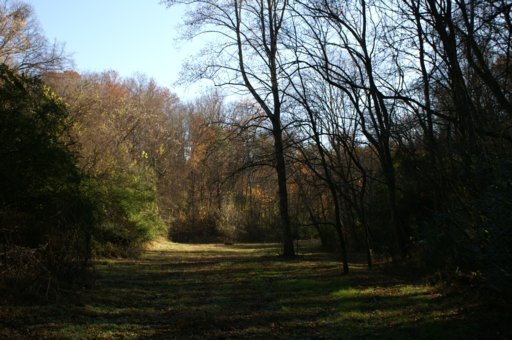 2940 Quarry Hollow Road Friendsville, TN 37737 - Photo 15 of 39 Additional Photo