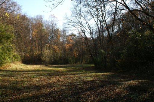 2940 Quarry Hollow Road Friendsville, TN 37737 - Photo 16 of 39 Additional Photo