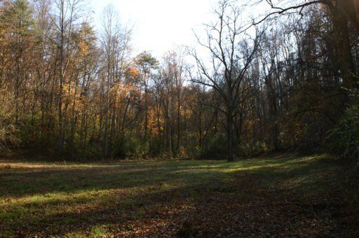 2940 Quarry Hollow Road Friendsville, TN 37737 - Photo 17 of 39 Additional Photo