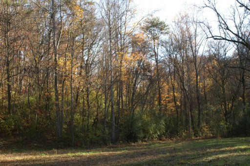 2940 Quarry Hollow Road Friendsville, TN 37737 - Photo 18 of 39 Additional Photo